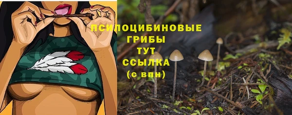не бодяженный Елабуга