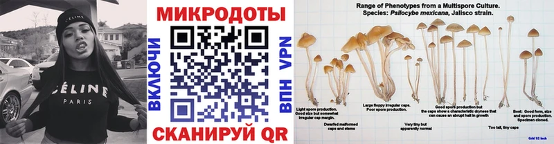 Купить где  Советская Гавань  Галлюциногенные грибы мухоморы 